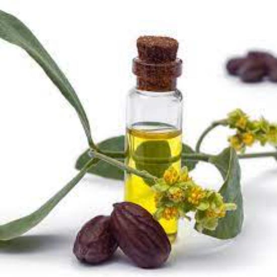 Jojoba Oil ( Simmondsia chinensis ) 