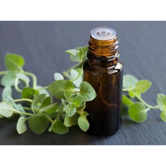 Oregano oil (Origanum vulgare L.)