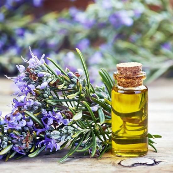 Rosemary Oil ( Rosmarinus officinalis Oil ) 
