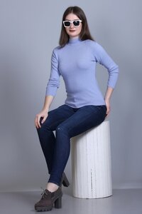Ladies skivvy