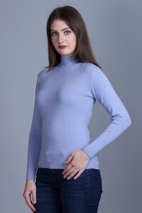 Ladies skivvy