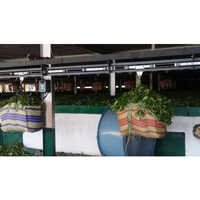 Monorail Crane Systems