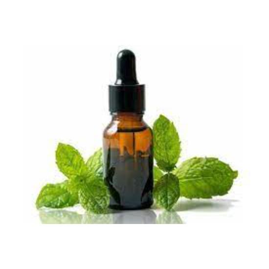 Spearmint Oil ( Mentha spicata Oil ) 