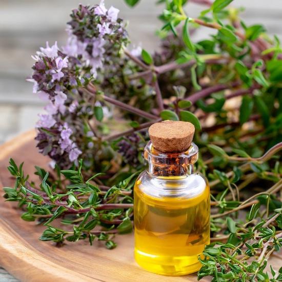 Thyme Oil (Thymus v ulgaris L) 