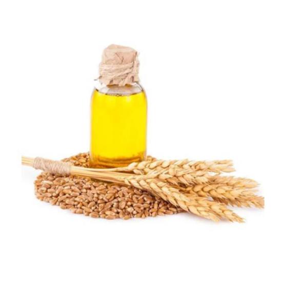 Wheat Germ Oil ( Triticum Vulgare ) 