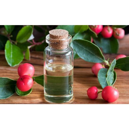 Wintergreen Oil ( Gaultheria procumbens Oil ) 