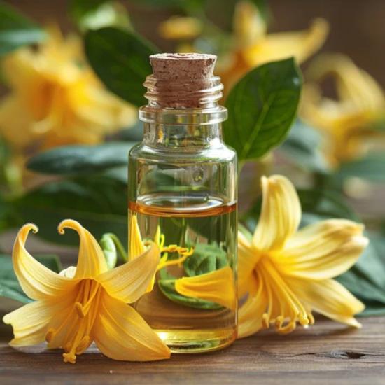 Ylang ylang oil