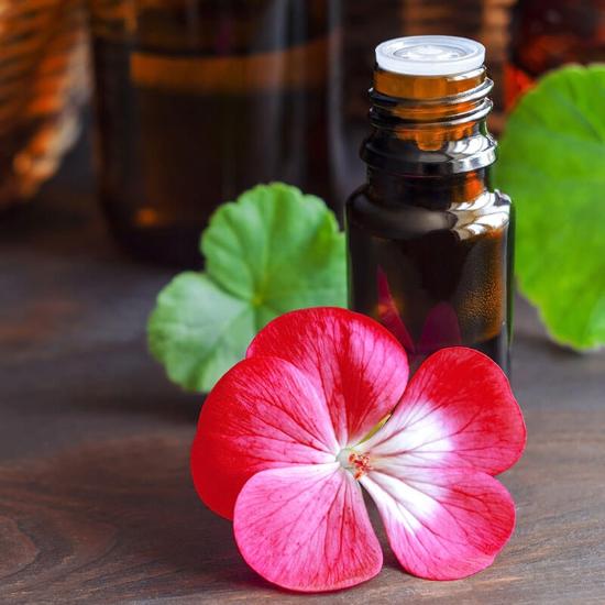 Geranium Oil - Natural Cleanser, Antibacterial & Antimicrobial Properties For Wound Healing And Skin Rejuvenation