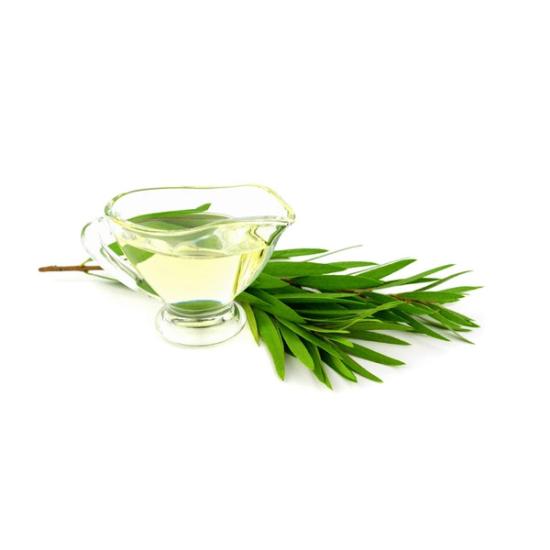 Cajuput Oil (Melaleuca leucadendra) 