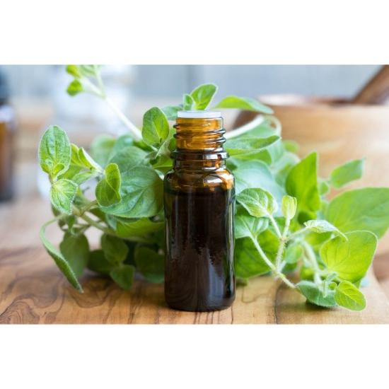 Carvacrol Oil