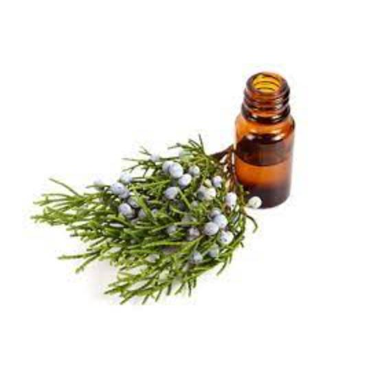 Juniper Berry Oil