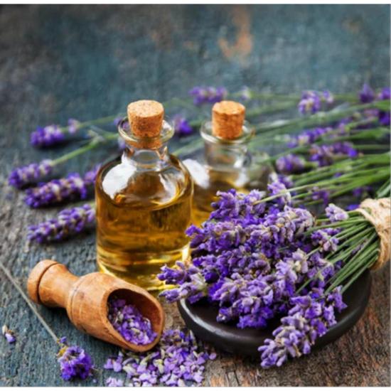 Lavender Essential Oil