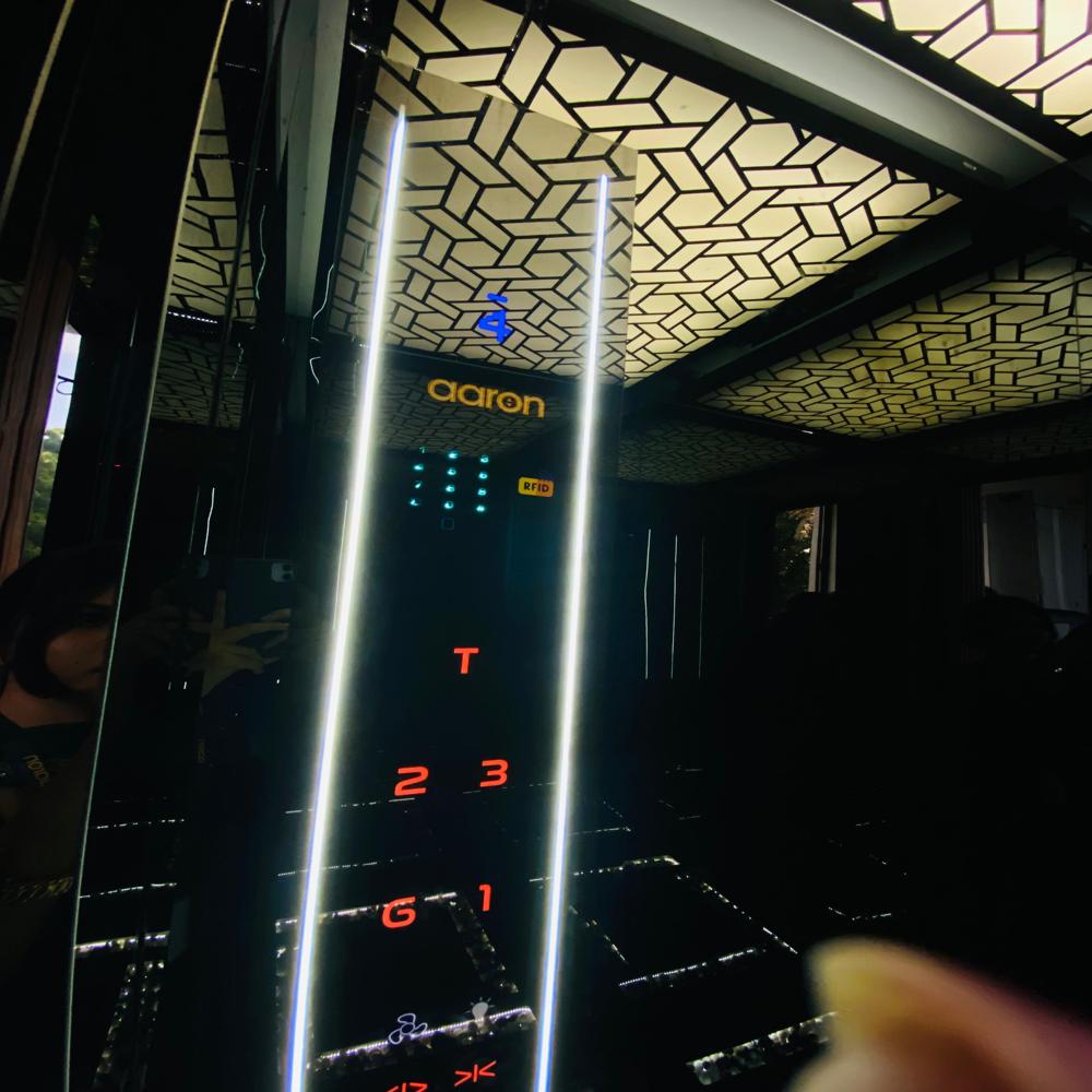 Stainless Steel Glass Elevators