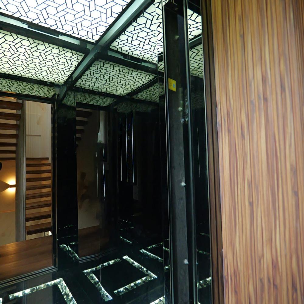 Stainless Steel Glass Elevators
