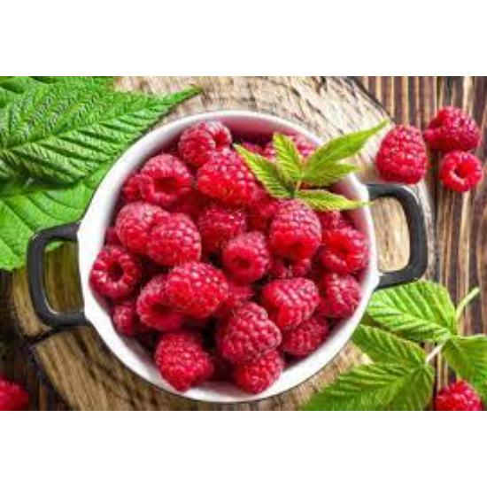 Red Raspberry Oil
