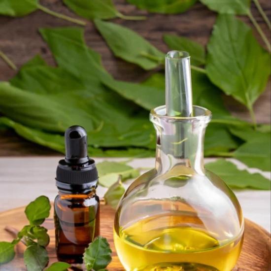 Basil Oil ( Ocimum basilicum oil )