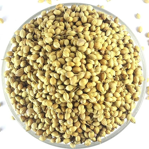 Coriander Seeds - Granules, 4 Years Shelf Life for Industrial Use, Bold Flavor for Various Recipes