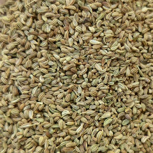 Ajwain Seeds - Color: Brown