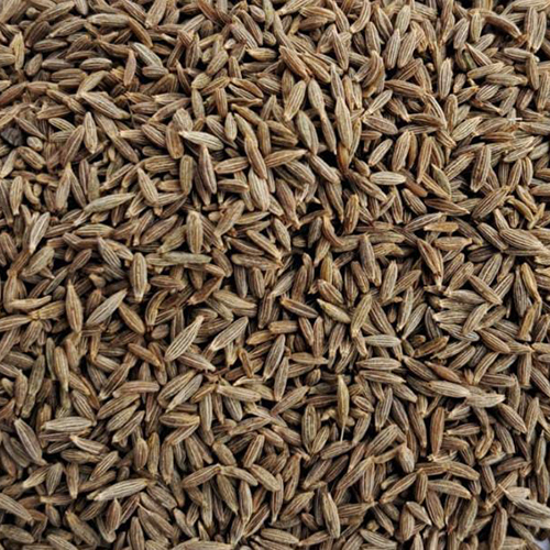 Cumin Seeds - Color: Brown