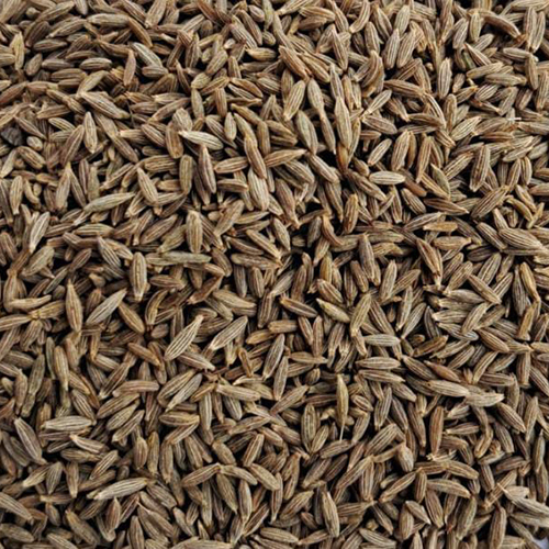 Cumin Seeds