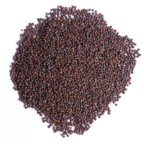 Mustard Seeds - Brown Granules, 12 Months Shelf Life | Ideal for Cooking, Storage in Dry Place, Versatile Culinary Use