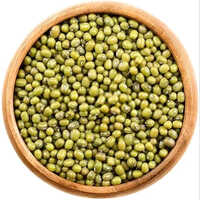 Green Mung Bean