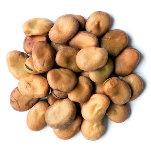 Brown Faba Beans - Cultivation Type: Organic