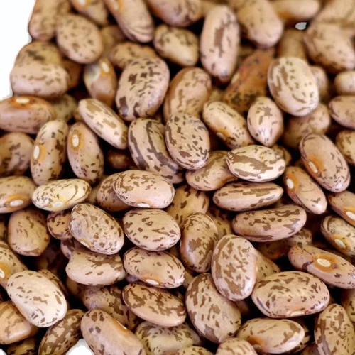 Brown Pinto Beans - Cultivation Type: Organic