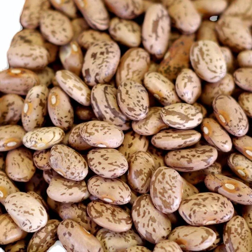 Brown Pinto Beans