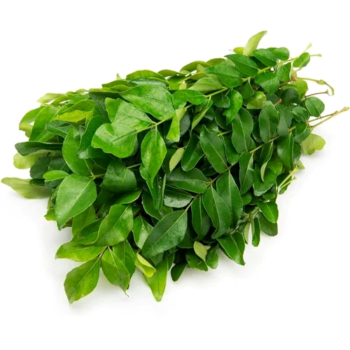 Fresh Curry Leaves - Color: Green