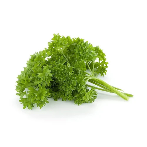 Fresh Parsley Leaves - Color: Green