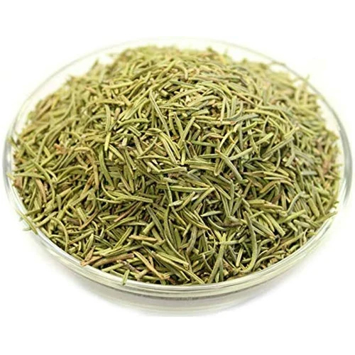 Fresh Rosemary Leaves - Color: Green