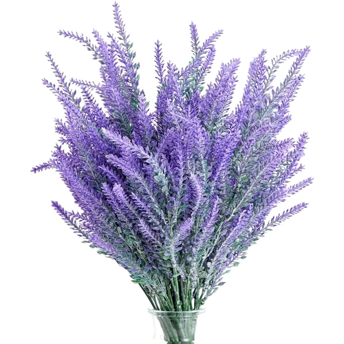 Fresh Lavender Flower