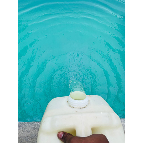 Swimming Pool Repairing And Maintenance Services