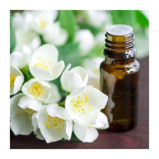 Gardenia oil