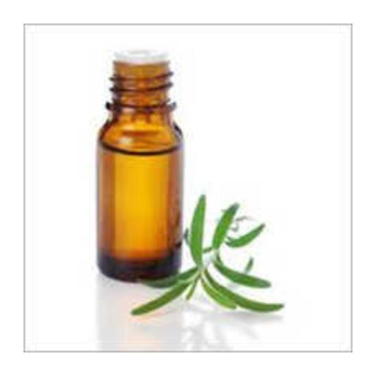 Alpha Pinene Essential Oil - Age Group: Adults