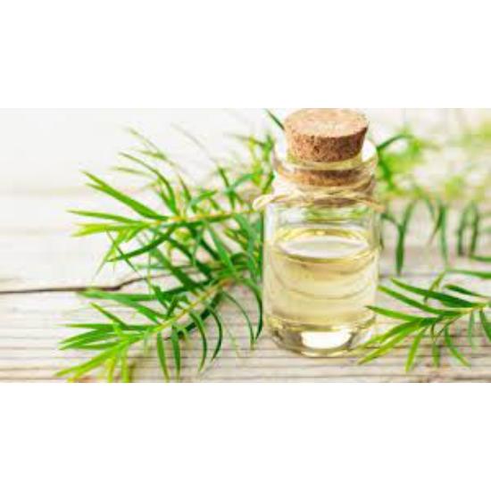 Alpha Pinene Essential Oil - Age Group: Adults