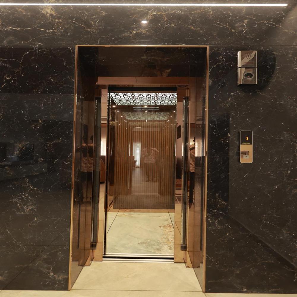 Passenger Elevators - 272 Kg Capacity, Stainless Steel Build | Electric/hydraulic Power, Safety Sensors, Calling Box Control, Dumbwaiter Mechanism