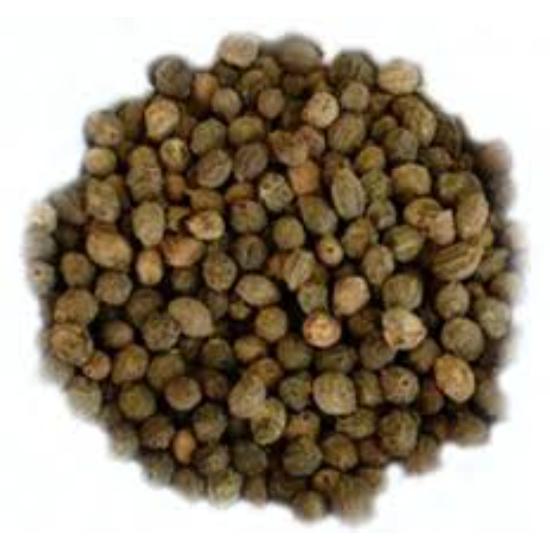 Black Ankol Seeds - Grade: Pharma & Food Grade