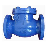 Cast Iron Non Return Valve - Power: Hydraulic