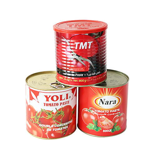 Factory Halal 800G 850G12Tins Tomato Paste Brix 28-30% Canned Tomato Paste For Europe - Shelf Life: 1 Years