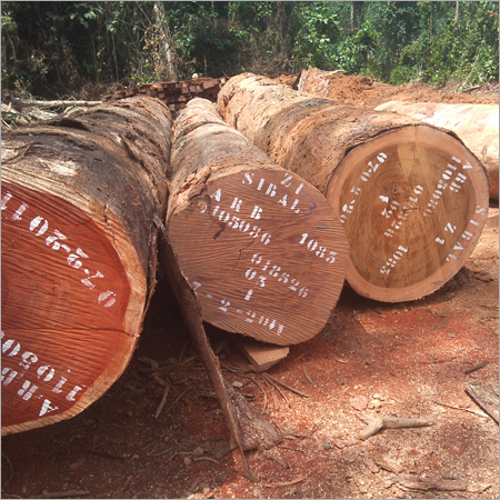 टिम्बर उत्पाद