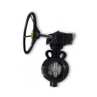 Cast Iron Gear Operated Butterfly Valve