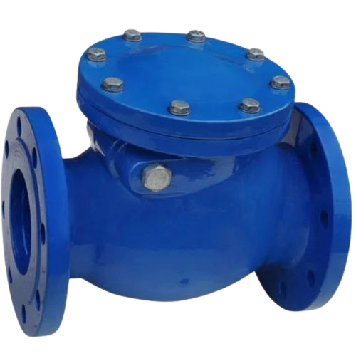 Cast Iron Non Return Valve - Application: Industrial