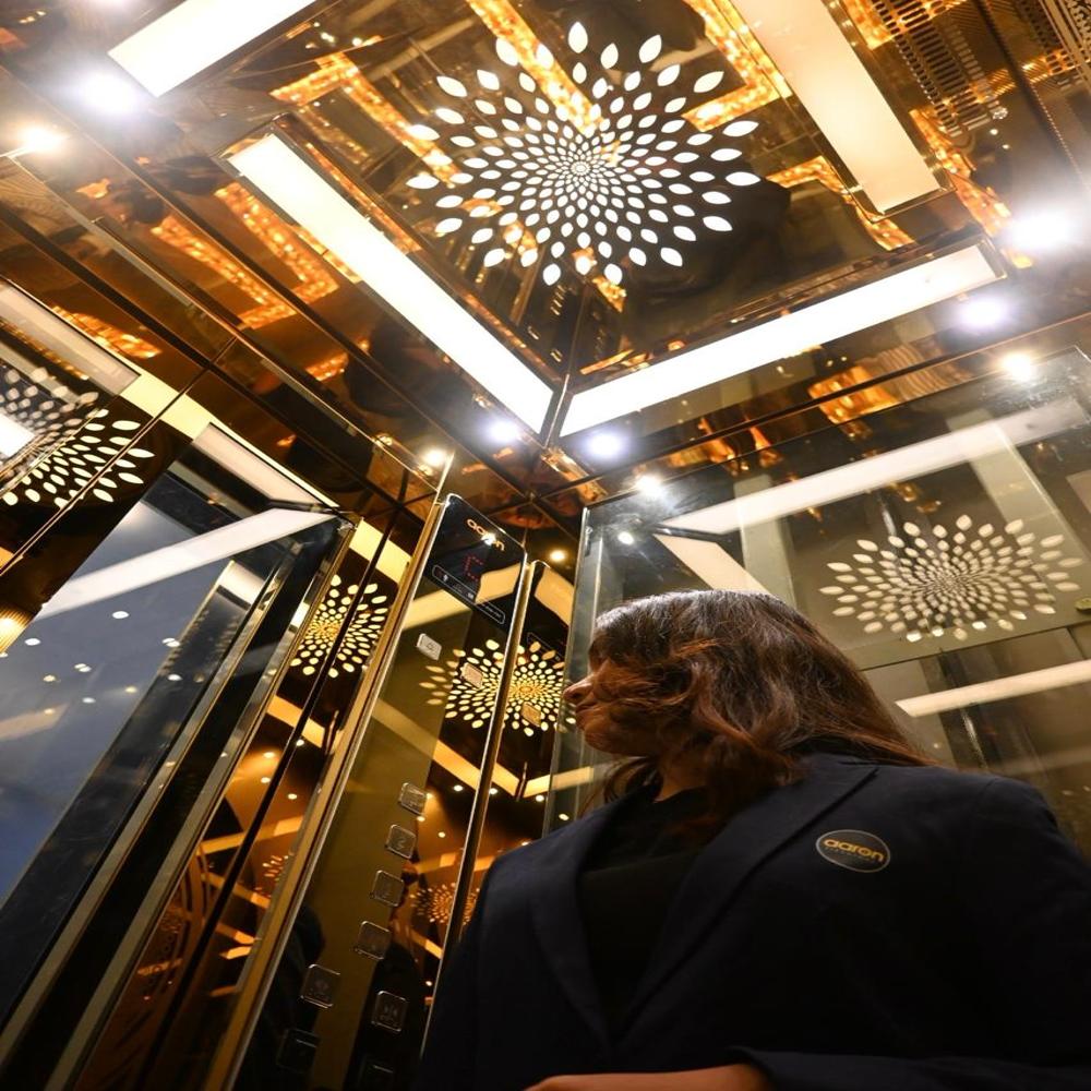 Electric Home Elevators