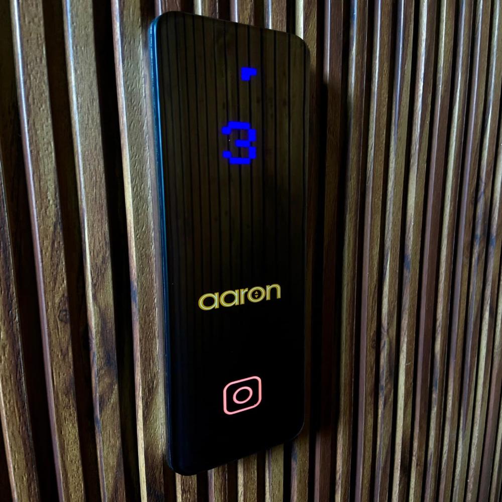 Electric Home Elevators