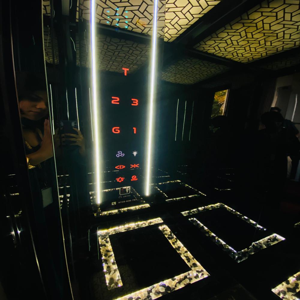 Electric Home Elevators - Capacity: 6 Kg