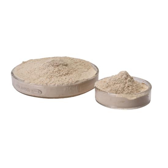 Alkaline Protease - Dosage Form: Powder