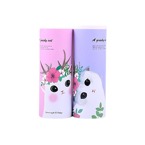 Printed Pencil Box