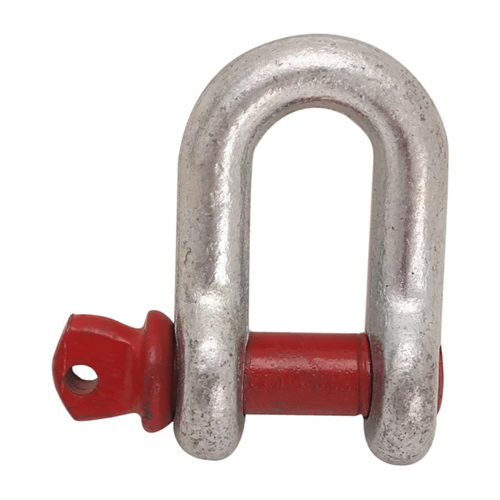 Forged D Shackle By Deepa Traders